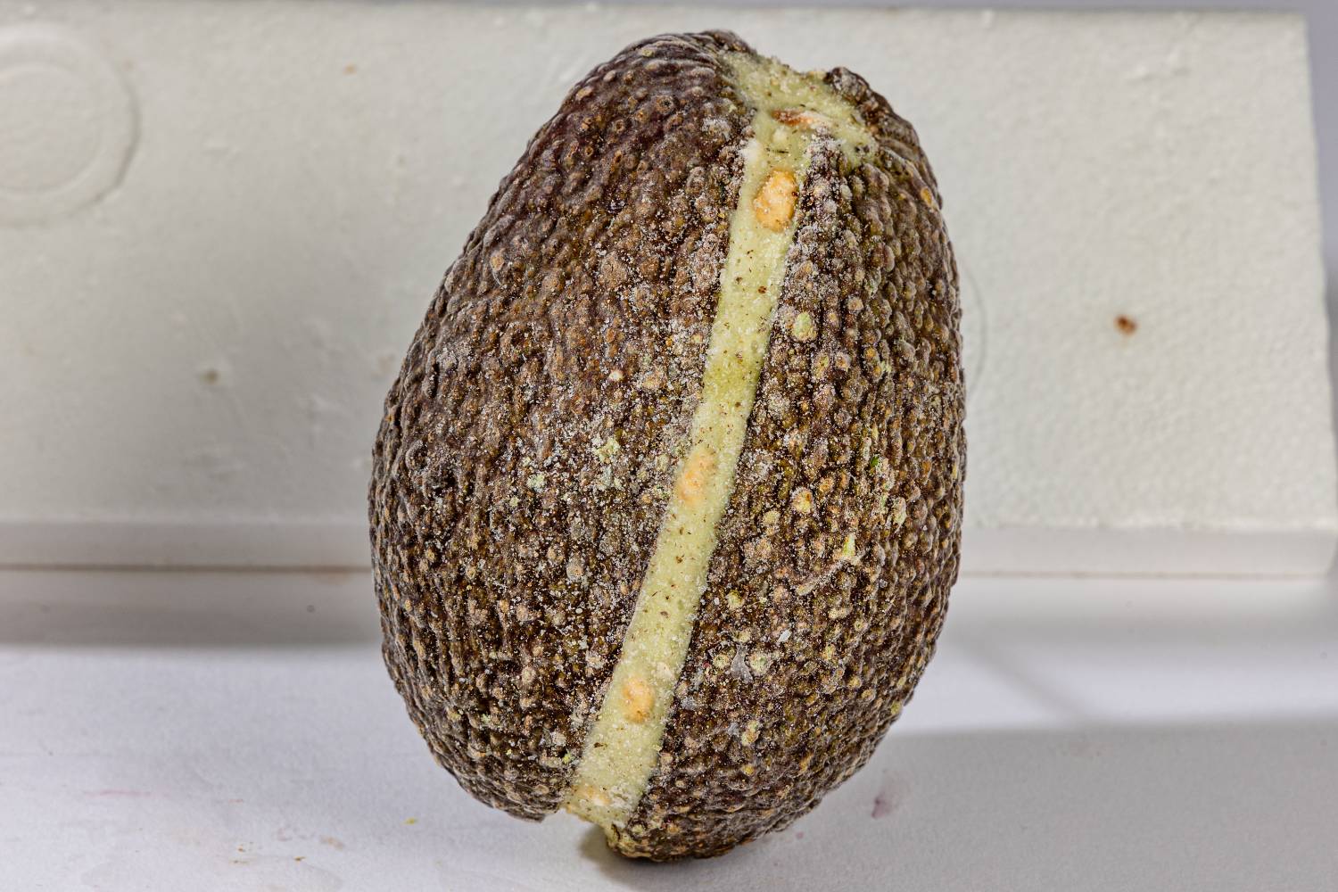 L'Avocat Noisettes Pralinées